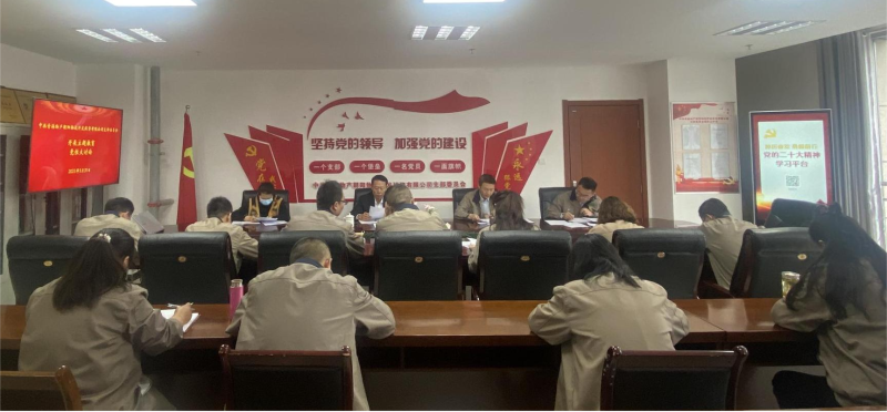錘煉黨性找差距 堅定信念促擔當&mdash;&mdash;青海物產朝陽物流開發投資有限公司黨支部開展主題教育黨性大討論