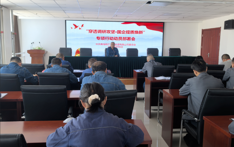 工投公司黨委召開&ldquo;穿透調研攻堅&middot;國企提質煥新&rdquo;專項行動動員部署會