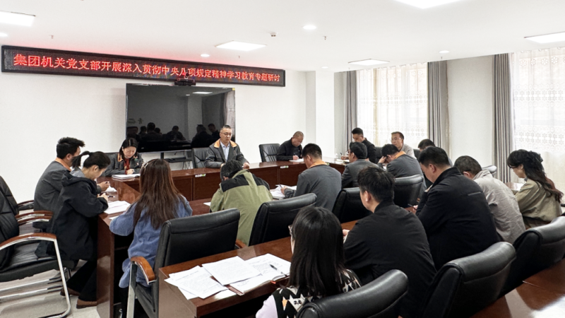 集團(tuán)機(jī)關(guān)黨支部開展深入貫徹中央八項規(guī)定精神學(xué)習(xí)教育專題研討