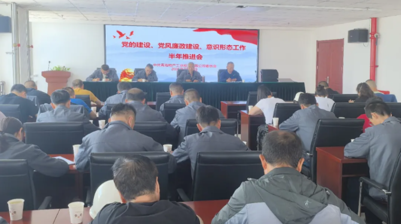 工投公司黨委召開黨的建設(shè)、黨風(fēng)廉政建設(shè)、意識形態(tài)工作半年推進會