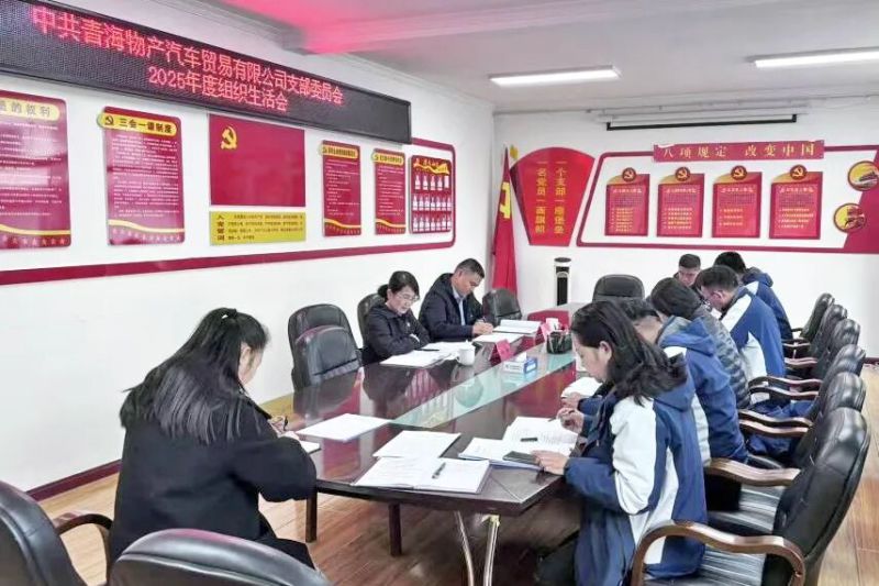 汽貿公司黨支部召開2025年度組織生活會